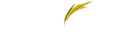 Super Store